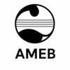 AMEB
